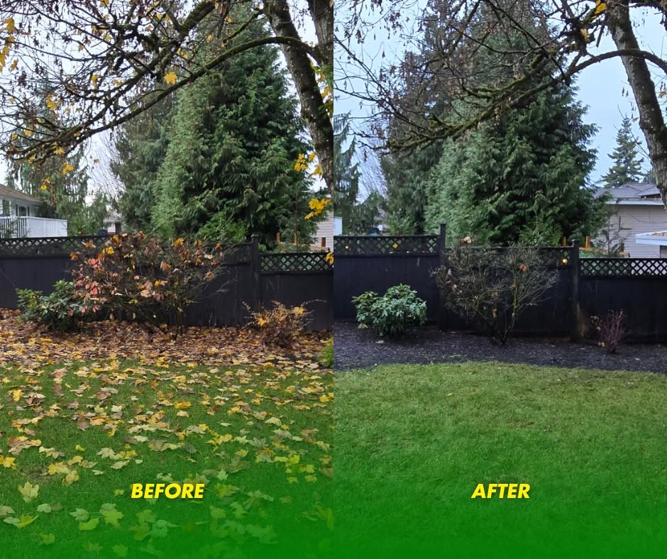 Before and after: A yard of fallen leaves cleared in one visit