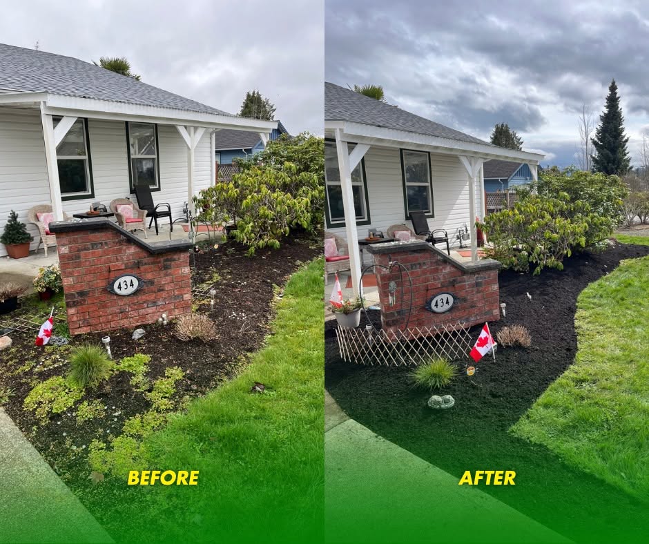 Before and after: A planter bed refreshed with new mulch and edging
