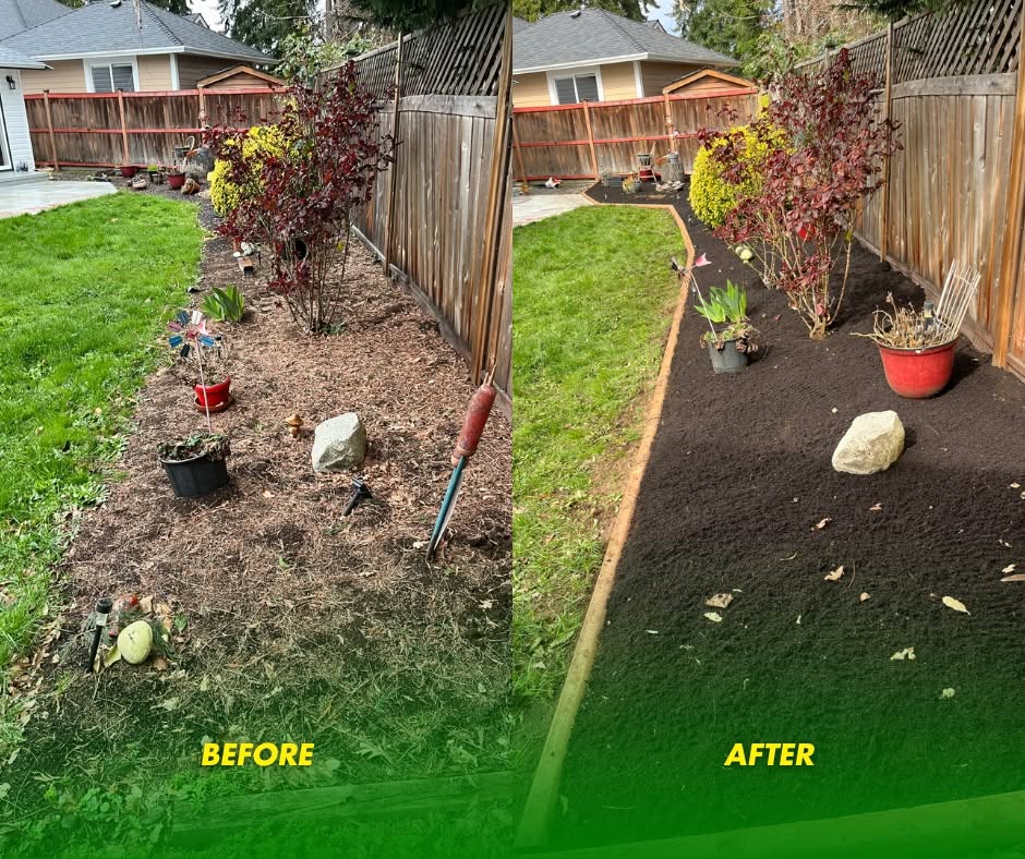 Before and after: A weedy bed refreshed with crisp edging and fresh mulch