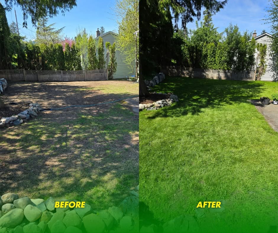 Lawn Care Services