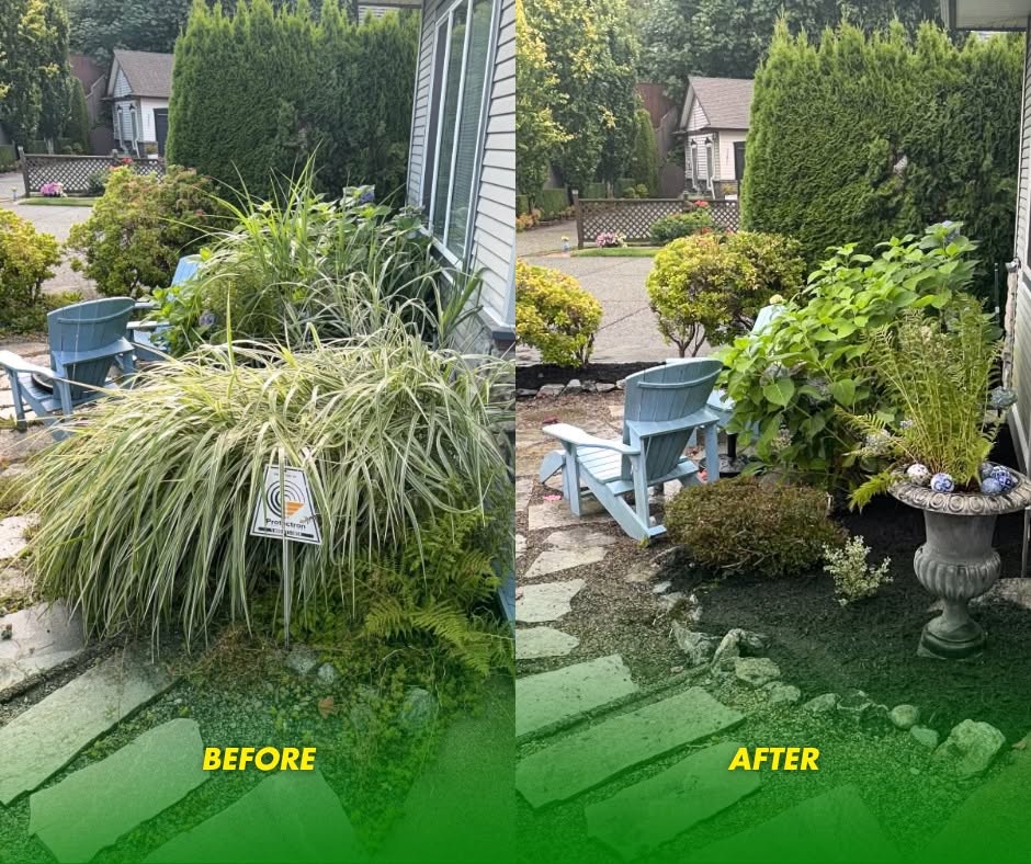 Spring Cleanup