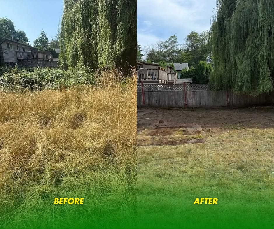 Before and after: An overgrown lot mowed down and cleaned up
