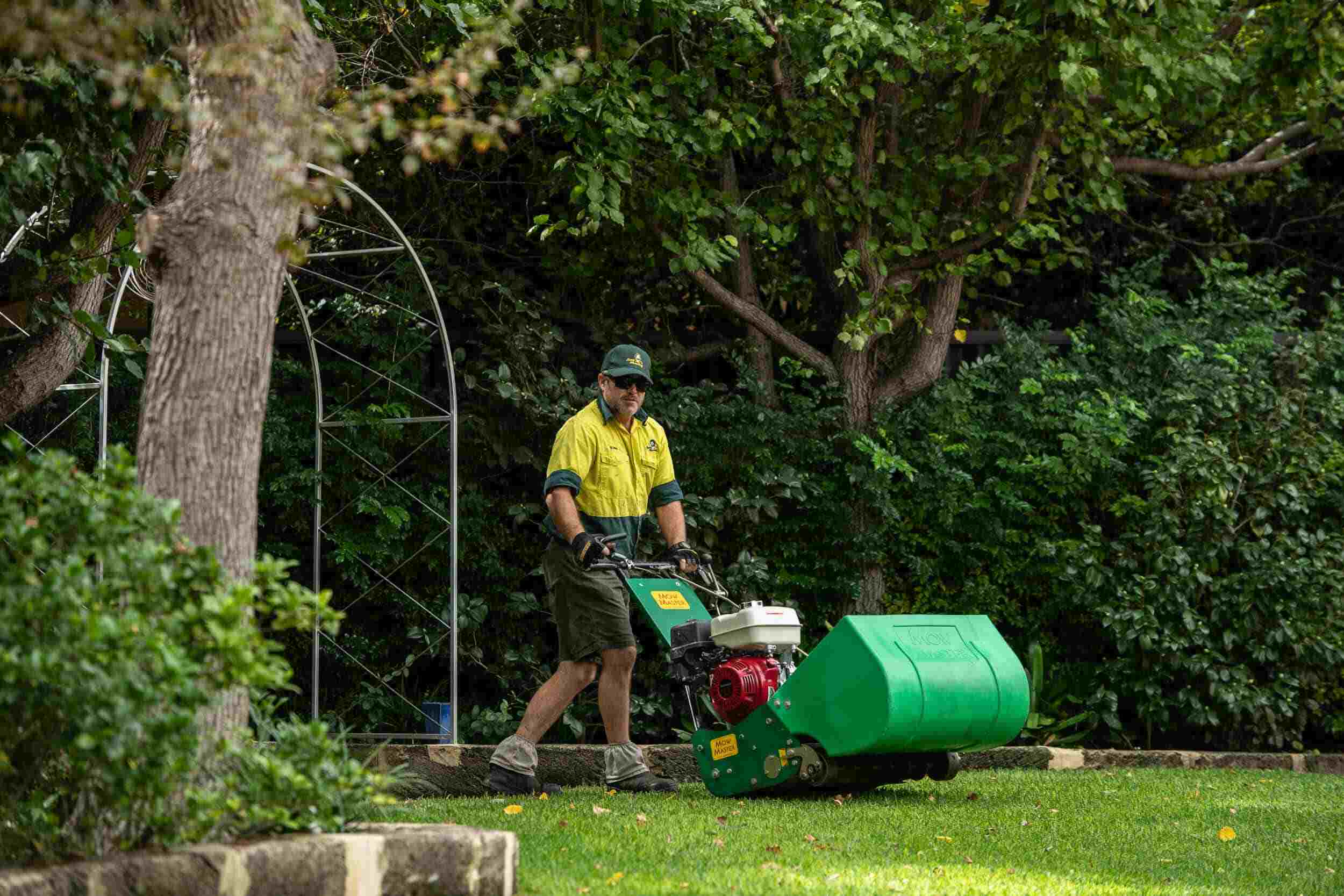 Lawn Aeration
