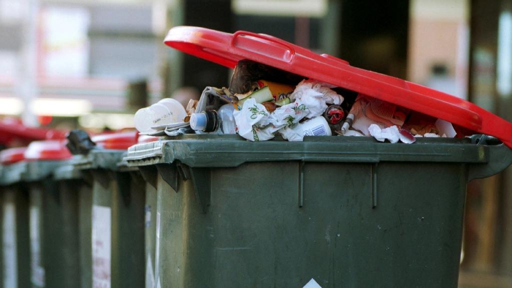 Junk & Green Waste Removal