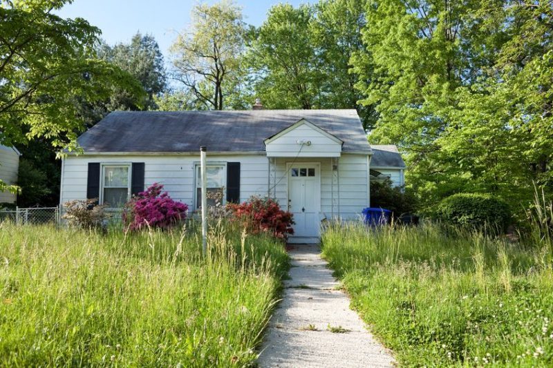 tenant lawn care messy-front-yard-overgrown