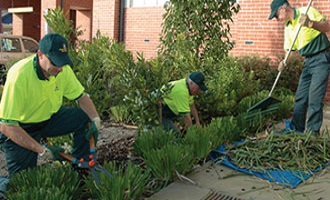 the-right-gardening contractor