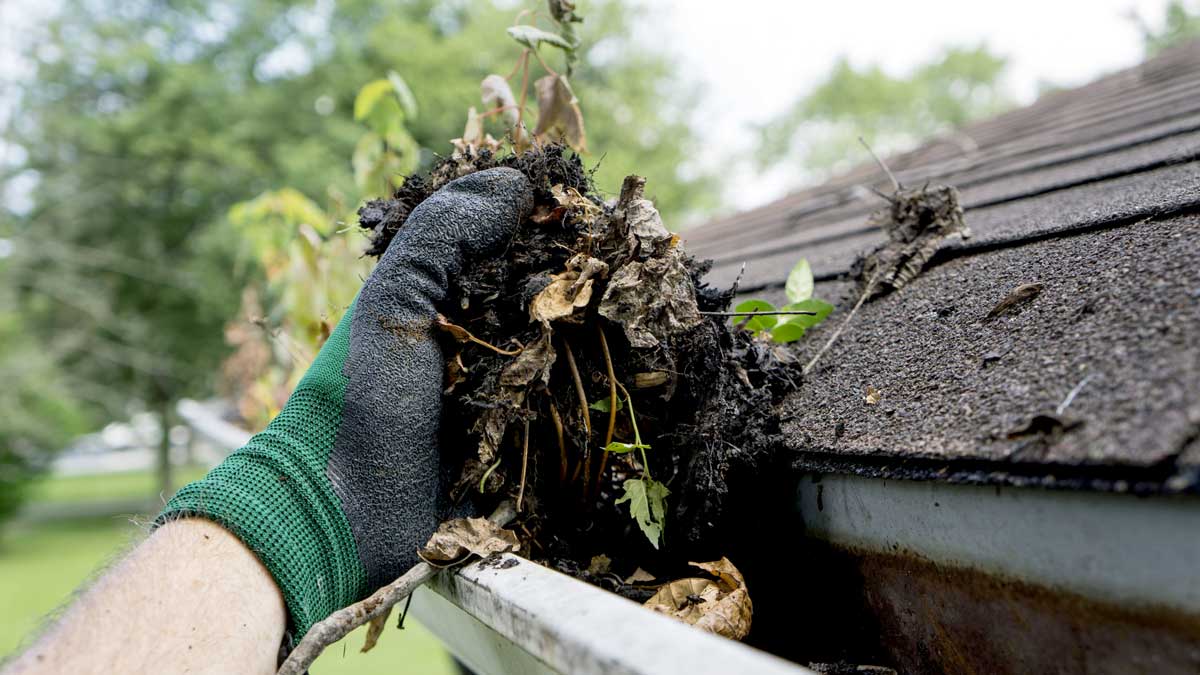 Eavestrough Cleaning Hamilton